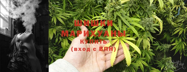 дживик Россошь