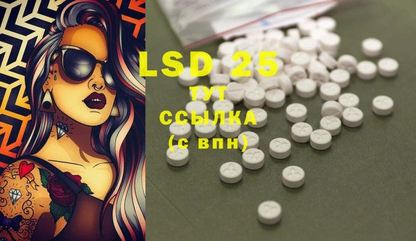 ГАЛЛЮЦИНОГЕННЫЕ ГРИБЫ Белокуриха