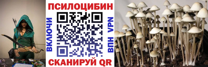 Галлюциногенные грибы Magic Shrooms  Кандалакша 