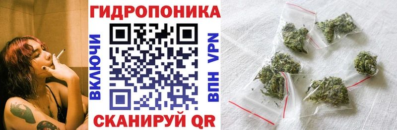Бошки Шишки OG Kush  Кандалакша 